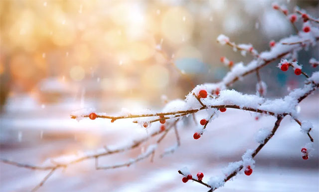 冬季天气寒冷,是癫痫易发期